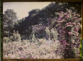 Image représentant Propriété de madame Douine