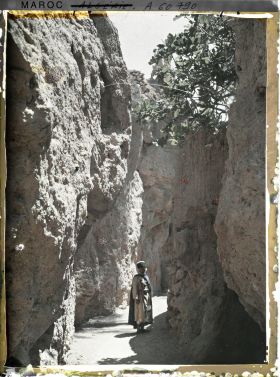 Image représentant Le chemin creux