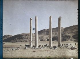 Image représentant Vestiges de colonnes de l'Apadana (hall d'audience de Darius 1er, fin du VIe siècle avant J.-C.)