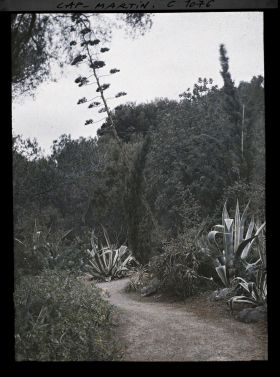 Image représentant le jardin