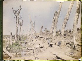 Image représentant Lignes de l'Yser près de l'Ecluse de Boesnighe, Ligne Française du Het-Sas