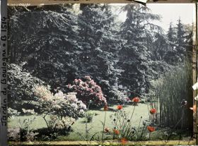 Image représentant coquelicots azalées et rhodos sur la pelouse du marais