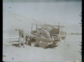 Image représentant Afghanistan, Argandé 25Kil. Sud de Kaboul, Type de Voiture à bœufs