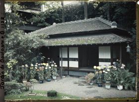 Image représentant Maison est du " village japonais ", ornée de chrysanthèmes en pots fleuris et de bonsaïs