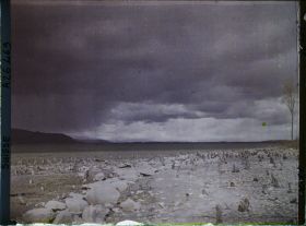 Image représentant Site palafittique préhistorique des Alpes, pieux en bois visibles lors de la baisse des eaux après la grande sécheresse de 1921