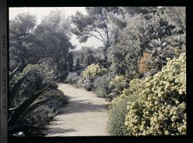 Image représentant le Jardin