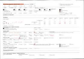 Image représentant Les bords de l'Allier vus vers l'amont