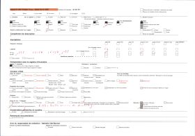 Image représentant Madame Perdron, infirmière