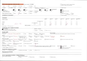 Image représentant Sur la place : les arbres sciés par les Boches