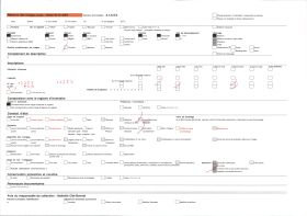Image représentant France, Chauny, Les ruines du Clocher de la Cathédrale