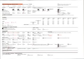 Image représentant Mademoiselle Saint-Paul, infirmière major