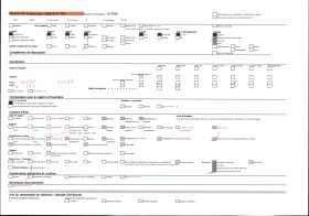 Image représentant Equipe d'agriculteurs du 143e territorial ramassant le foin