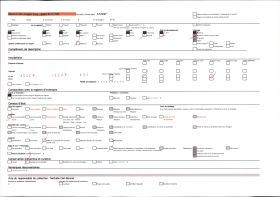 Image représentant L'infirmière major de Vauxbuin, Mademoiselle Anne-Marie Canton Bacara avec ses décorations