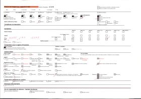Image représentant Chevaux dans le cloître de l'ancienne abbaye Saint-Jean-des-Vignes
