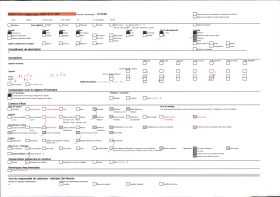Image représentant Camion de la SPCA avec trois soldats français autour, devant des ruines