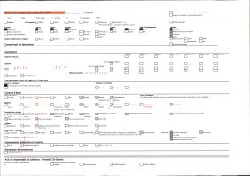 Image représentant La tranchée de la Maison-Rouge à côté de Soissons, occupée en 1915 lors de la première bataille de l'Aisne