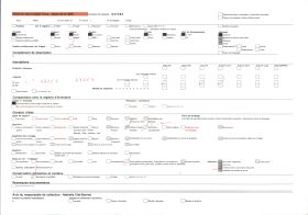 Image représentant France, Soissons, Effet de Soleil Couchant sur la Cathédrale