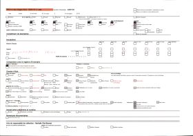 Image représentant Un grand moulin reconstruit