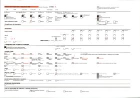 Image représentant Route bordée de cagnas