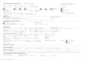 Image représentant L'avenue Gabrielle