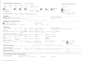 Image représentant L'avenue Gabrielle