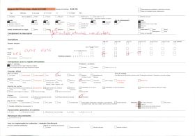 Image représentant La case du couronnement du roi Toli ?