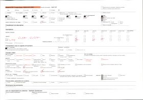 Image représentant La case du couronnement du roi Toli ?