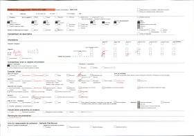 Image représentant Une allée de la Résidence du gouverneur