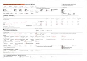 Image représentant Un arbre (sacré ?) dans le village