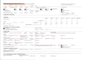 Image représentant La cathédrale, actuelle basilique de l'Immaculée-Conception, au soleil couchant
