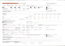 Image représentant La cathédrale, actuelle basilique de l'Immaculée-Conception, au soleil couchant