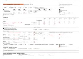 Image représentant Avenue de l'hôpital
