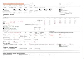Image représentant Nouvelle avenue dans le quartier de l'administration coloniale