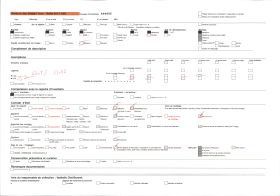 Image représentant Dans le village indigène, un chronoxyle d'Iroko (ou milicia exclesa) sacré ou arbre fétiche