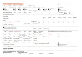 Image représentant Dans le village indigène, un chronoxyle d'Iroko (ou milicia exclesa) sacré ou arbre fétiche