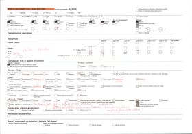 Image représentant Cases de fétiches dans le village indigène