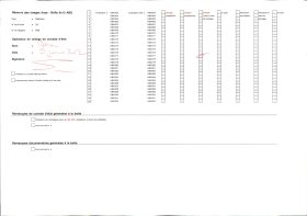 Image représentant Des flamboyants en fleurs le long d'une route