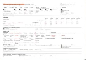Image représentant Une avenue du bord de mer dans le quartier européen