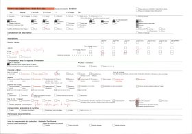 Image représentant Des flamboyants en fleurs le long d'une route
