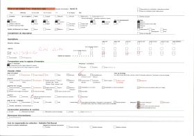 Image représentant Autels des fétiches Lègba et Dan
