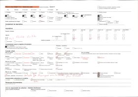 Image représentant Autels des fétiches Lègba et Dan