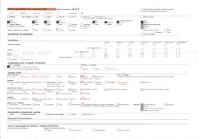 Image représentant Autels des fétiches Lègba et Dan