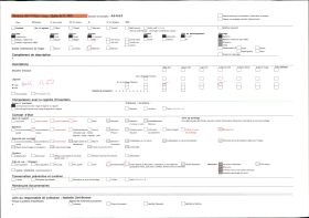 Image représentant L'avenue du Commissariat dans le quartier européen