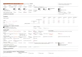 Image représentant Intersection d'avenues dans le quartier européen, présence de ligne télégraphique suspendue aux arbres