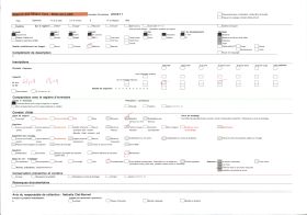 Image représentant Allée bordée de filaos