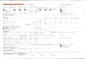 Image représentant Des kapokiers et des bananiers