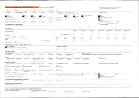 Image représentant Des kapokiers et des bananiers