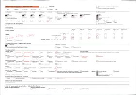 Image représentant Un kapokier à flanc de montagne