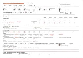Image représentant La Grande-Mosquée