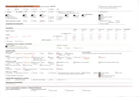 Image représentant Autel du fétiche de la montagne ?